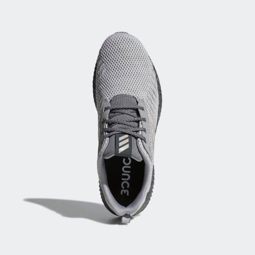 Ảnh 4. AlphaBounce RC M