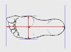 Hướng dẫn chọn size gi&agrave;y puma, Vans, Adidas, Nike - Y&ecirc;u cầu: đo chiều d&agrave;i, chiều rộng của ch&acirc;n