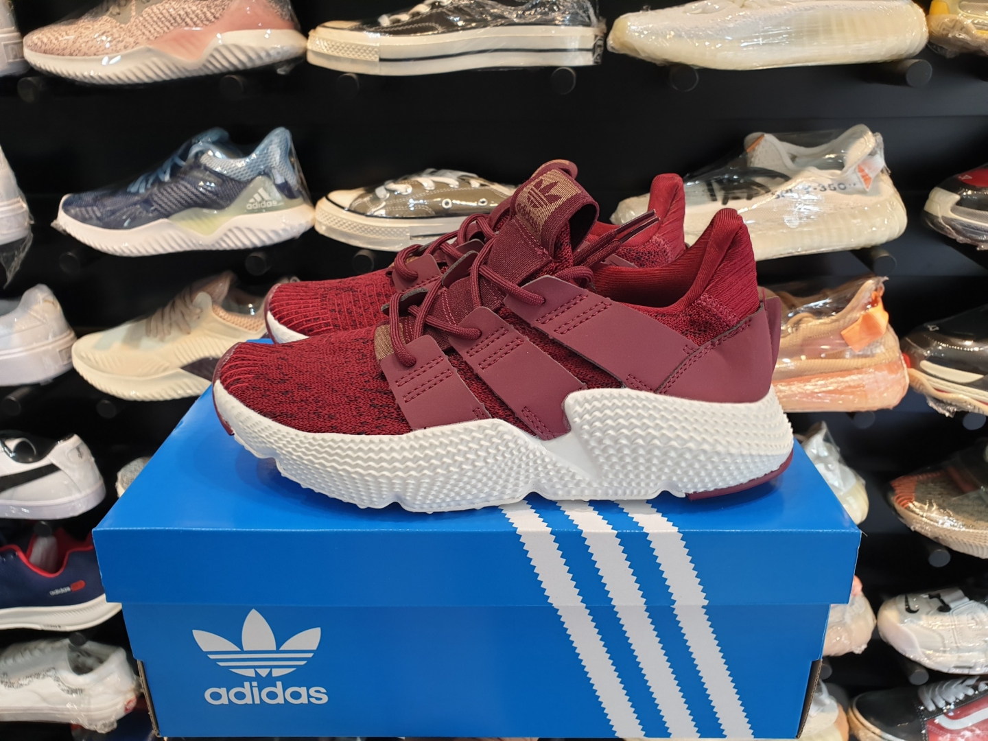 Prophere đỏ mang lại cảm giác chắc chắn